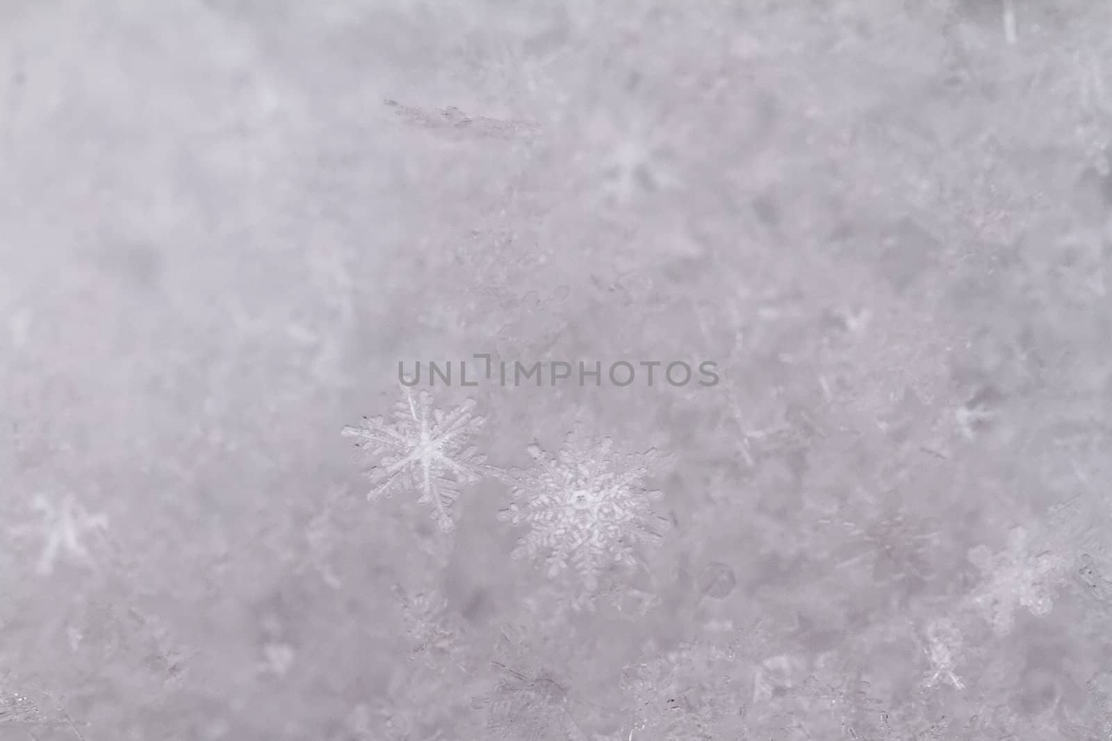 beauty white snowflake crystals by NagyDodo