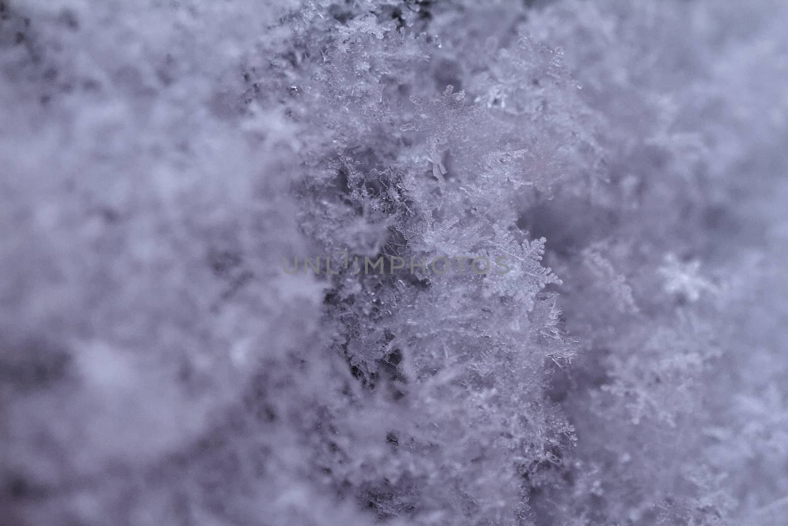 beauty green snowflake crystals on dark background