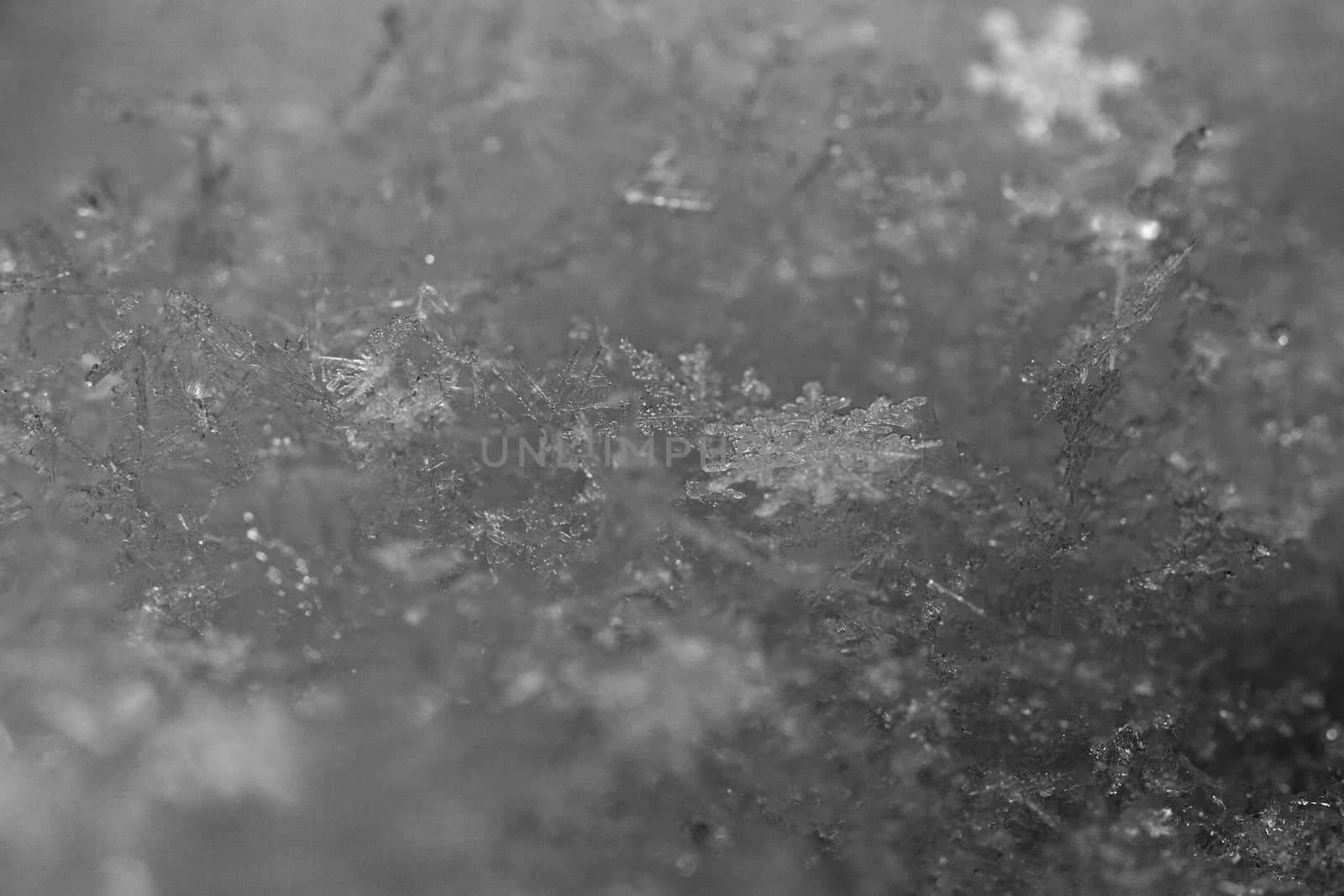 beauty white snowflake crystals on dark background