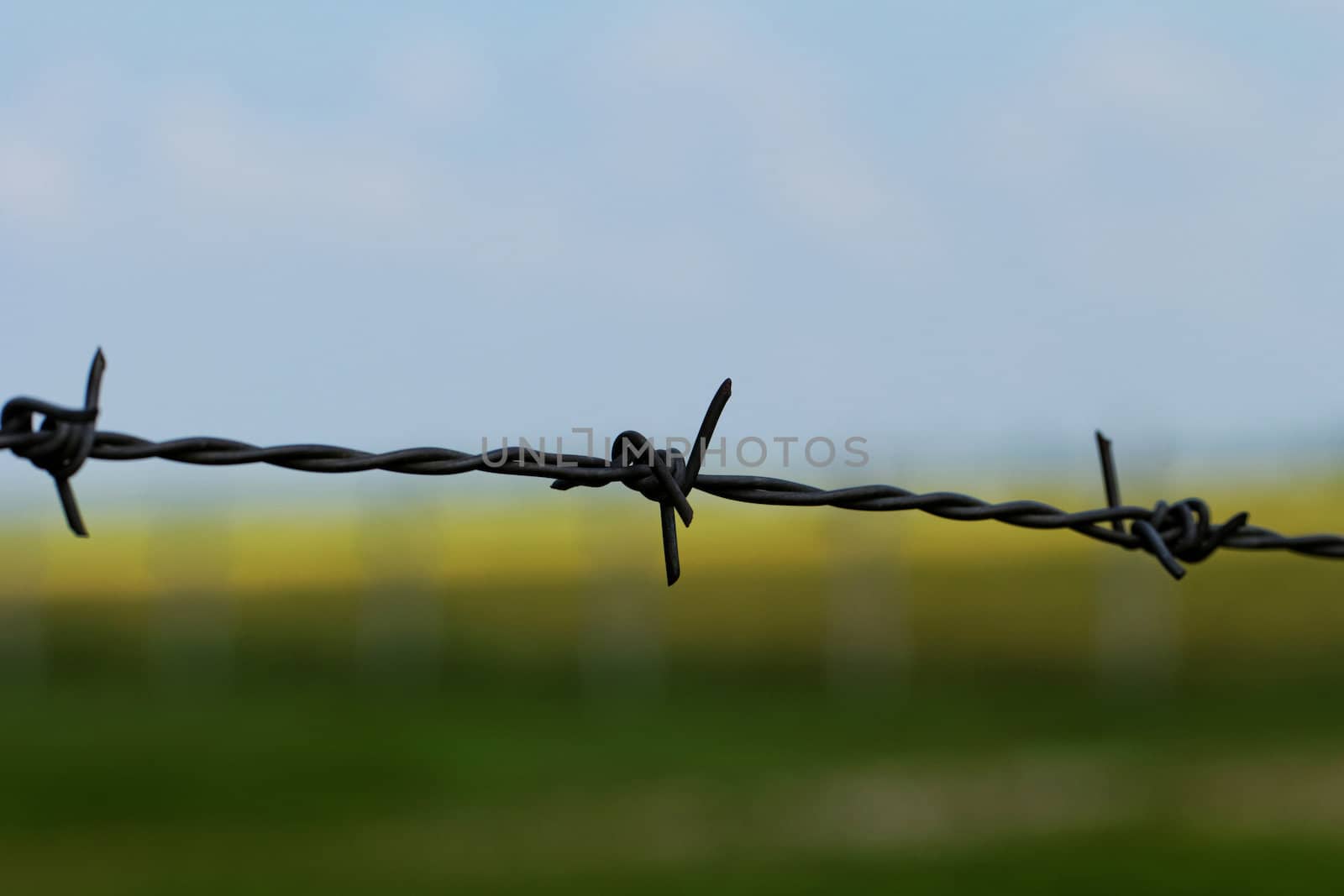 barbed wire defending the industries