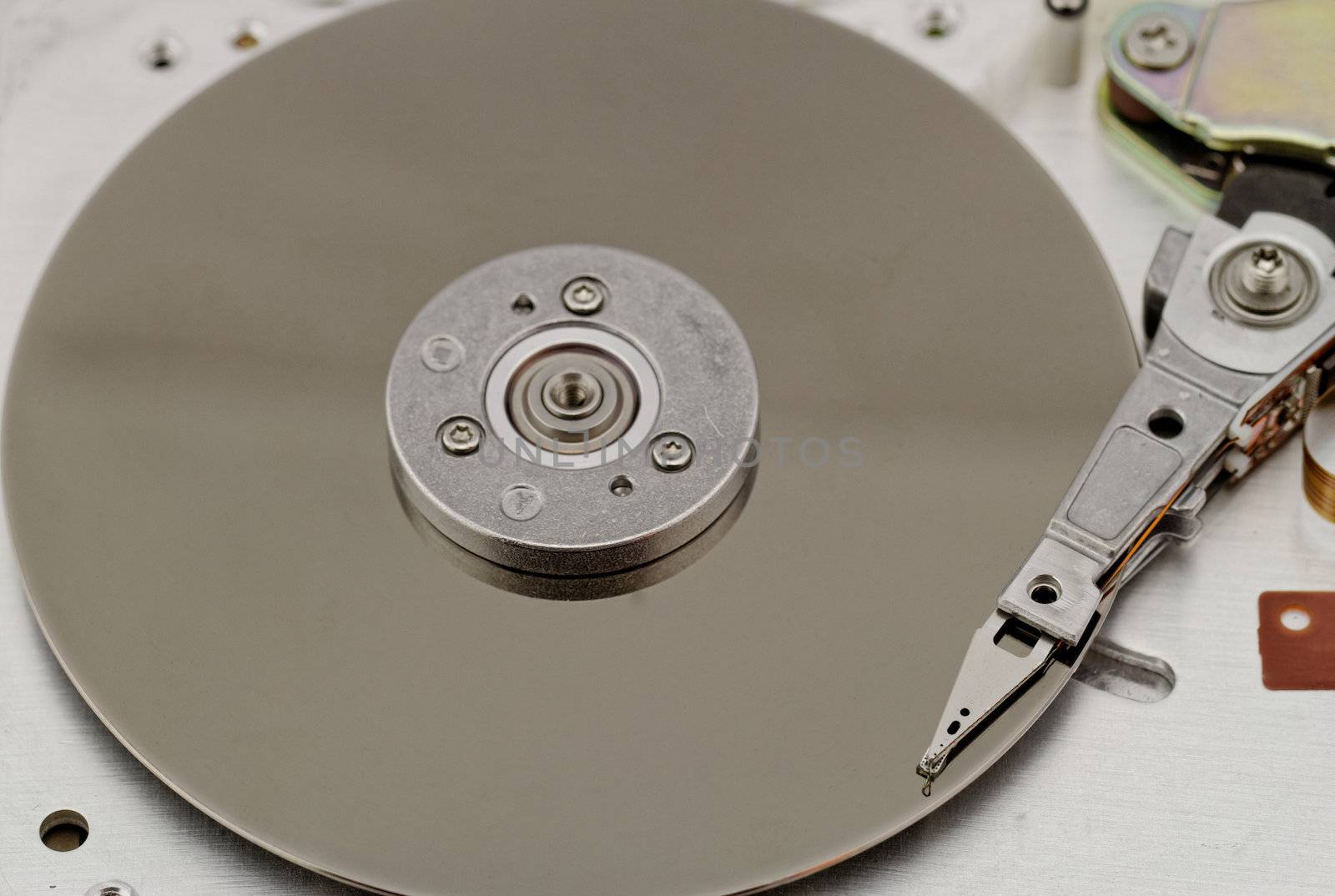 Open computer hard drive on white background (HDD, Winchester)