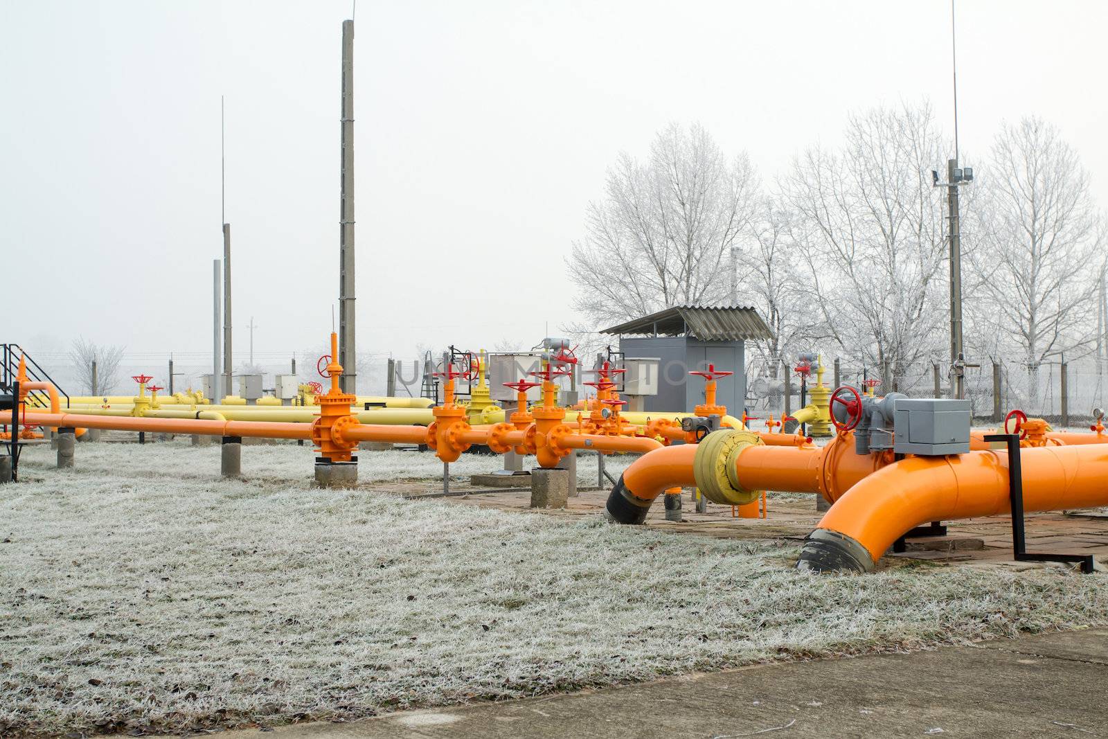 orange gas pipe in frosted winter