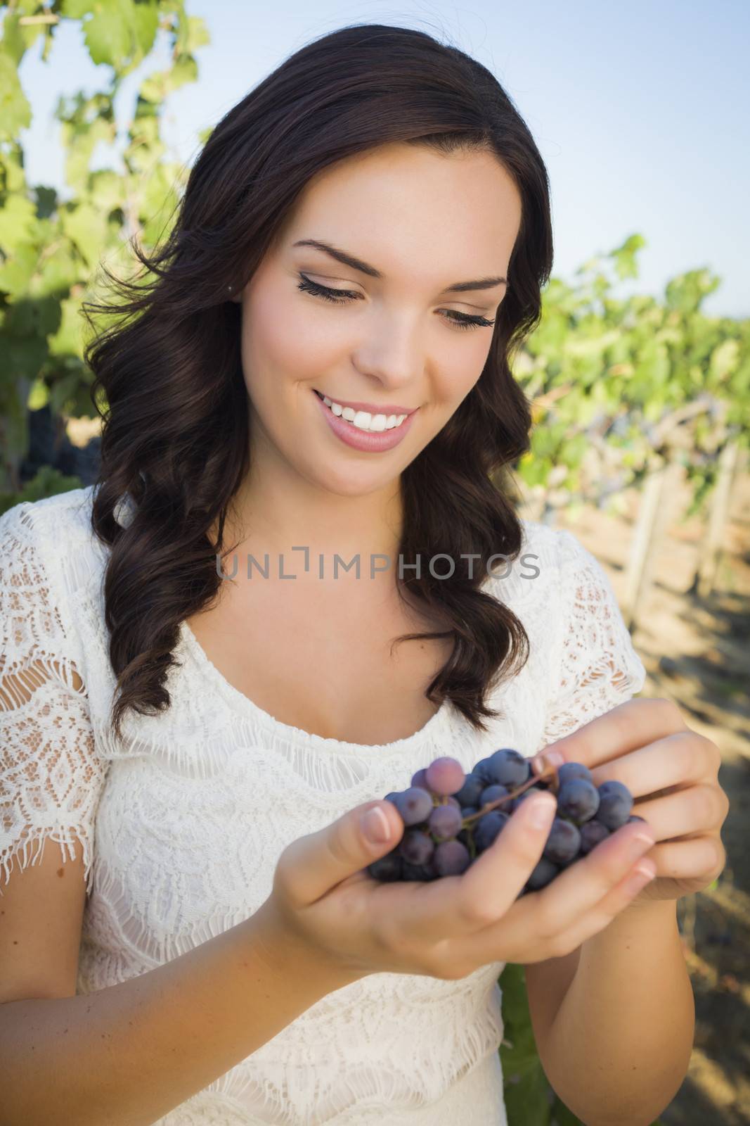 Young Adult Mixed Race Woman Enjoying The Wine Grapes in The Vineyard Outside.