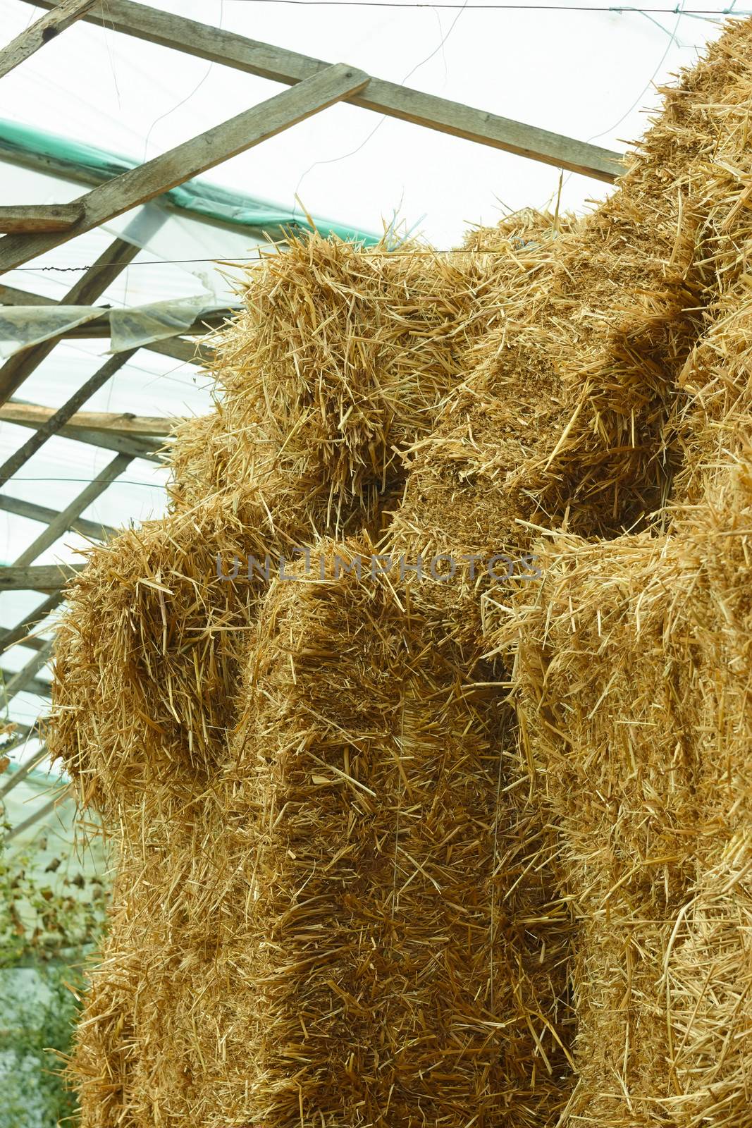 Bales of straw stacked in a heap by qiiip