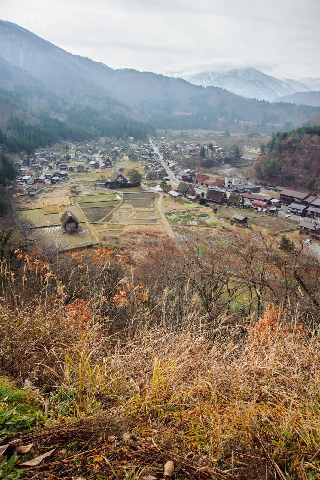 Ogimachi Village in Shirakawago