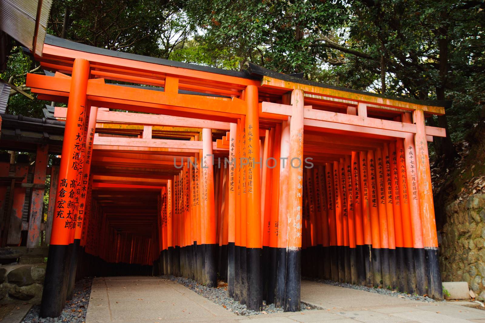 Fushimi Inari Shrine by letoakin