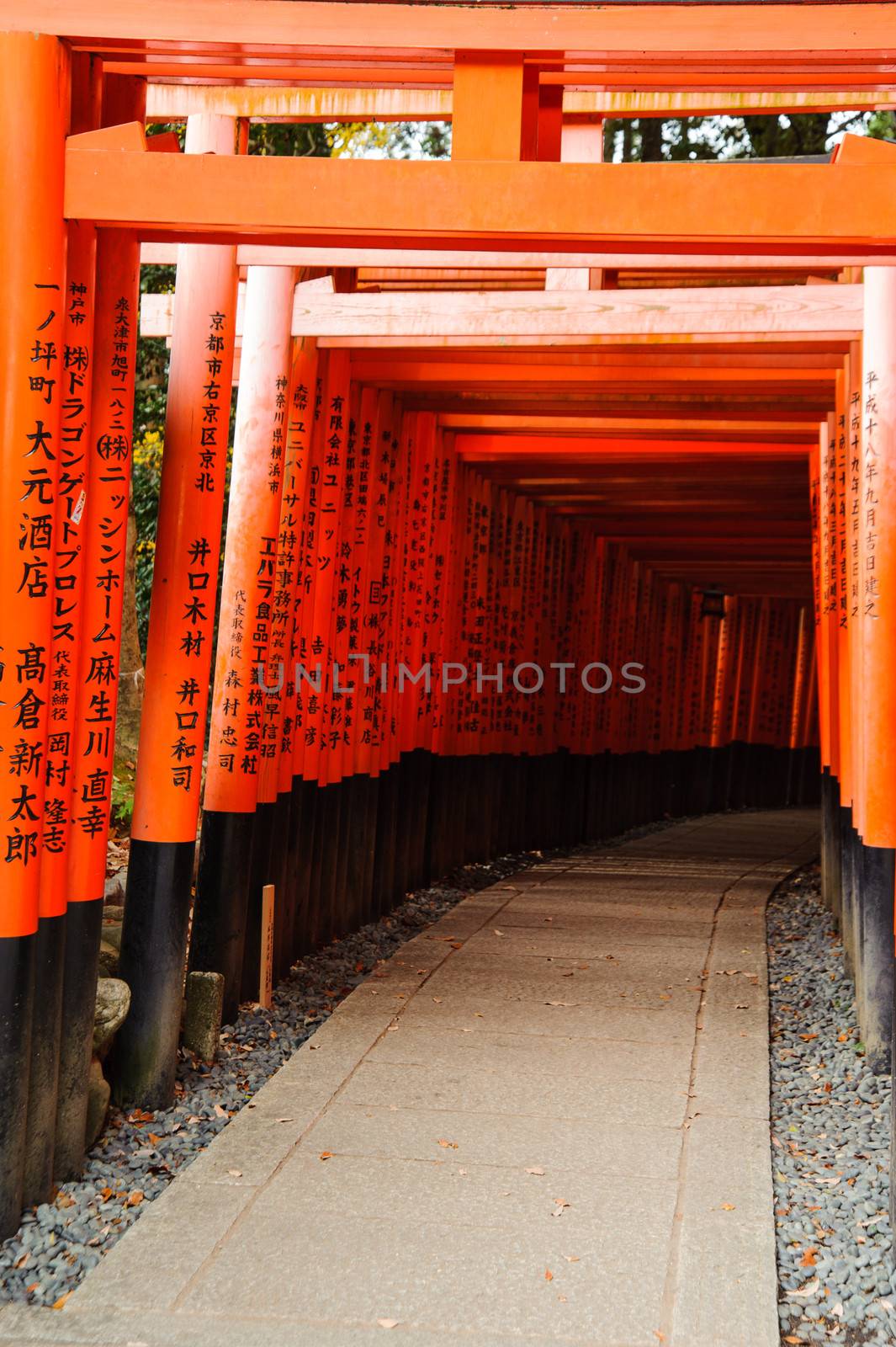 Fushimi Inari Shrine by letoakin