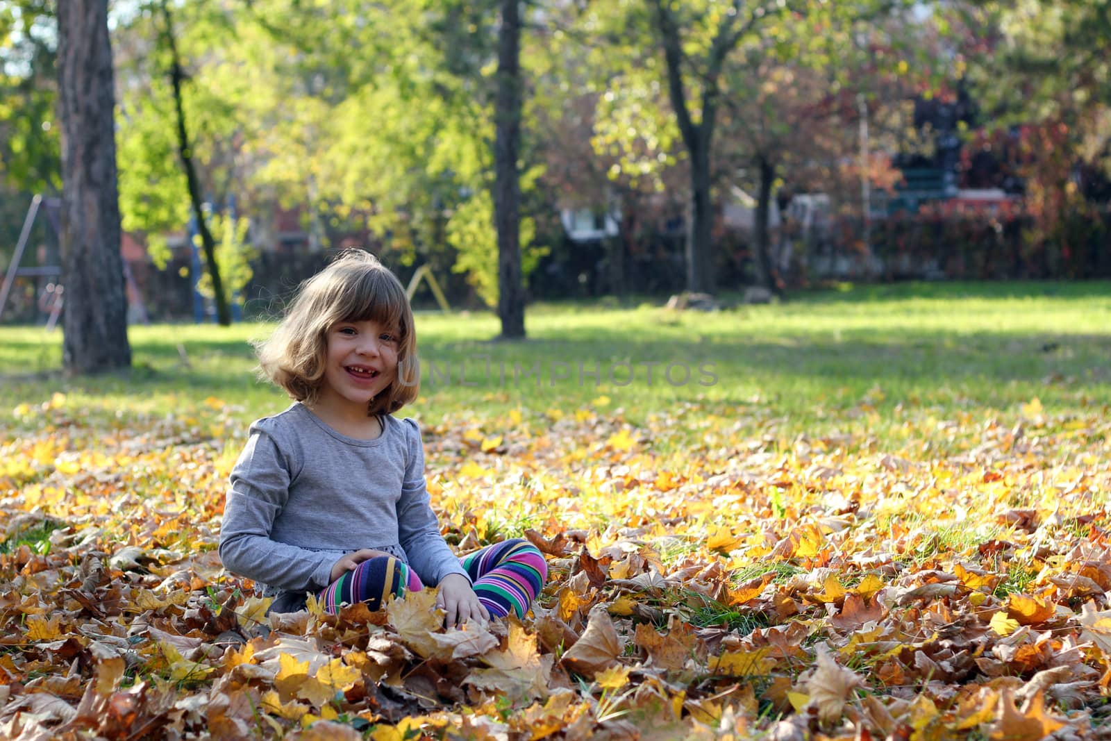 happy little girl sitting on leaves in autumn park