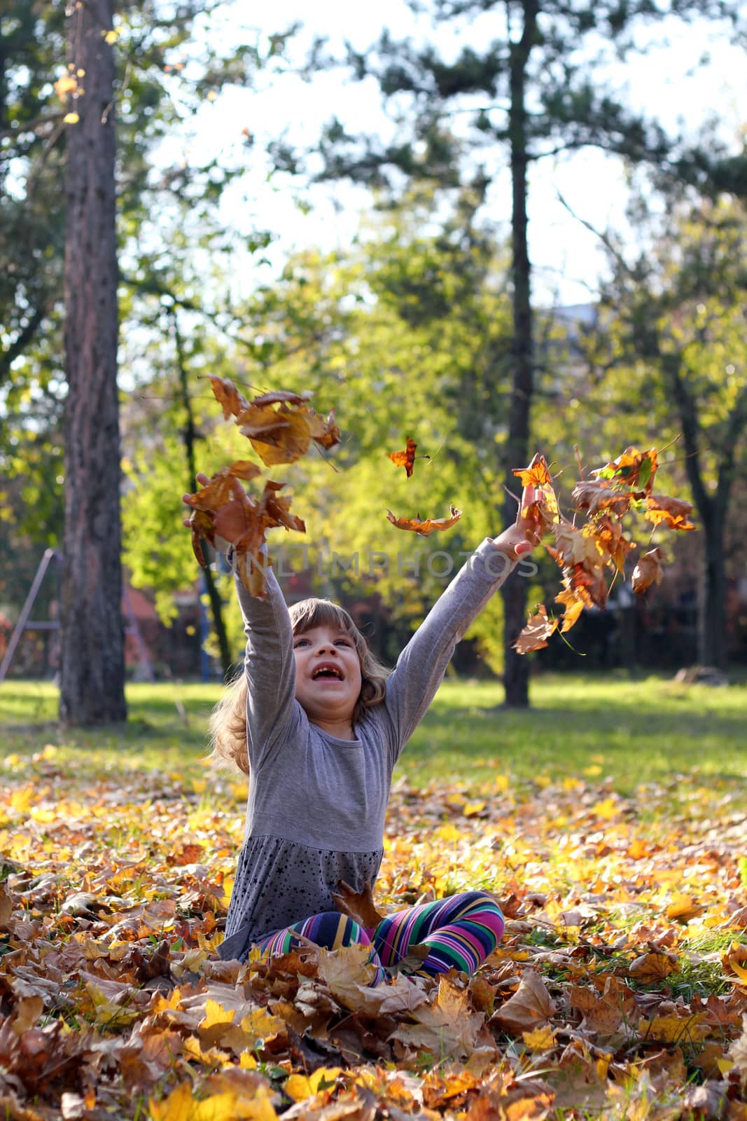 happy little girl throws leaves in autumn park