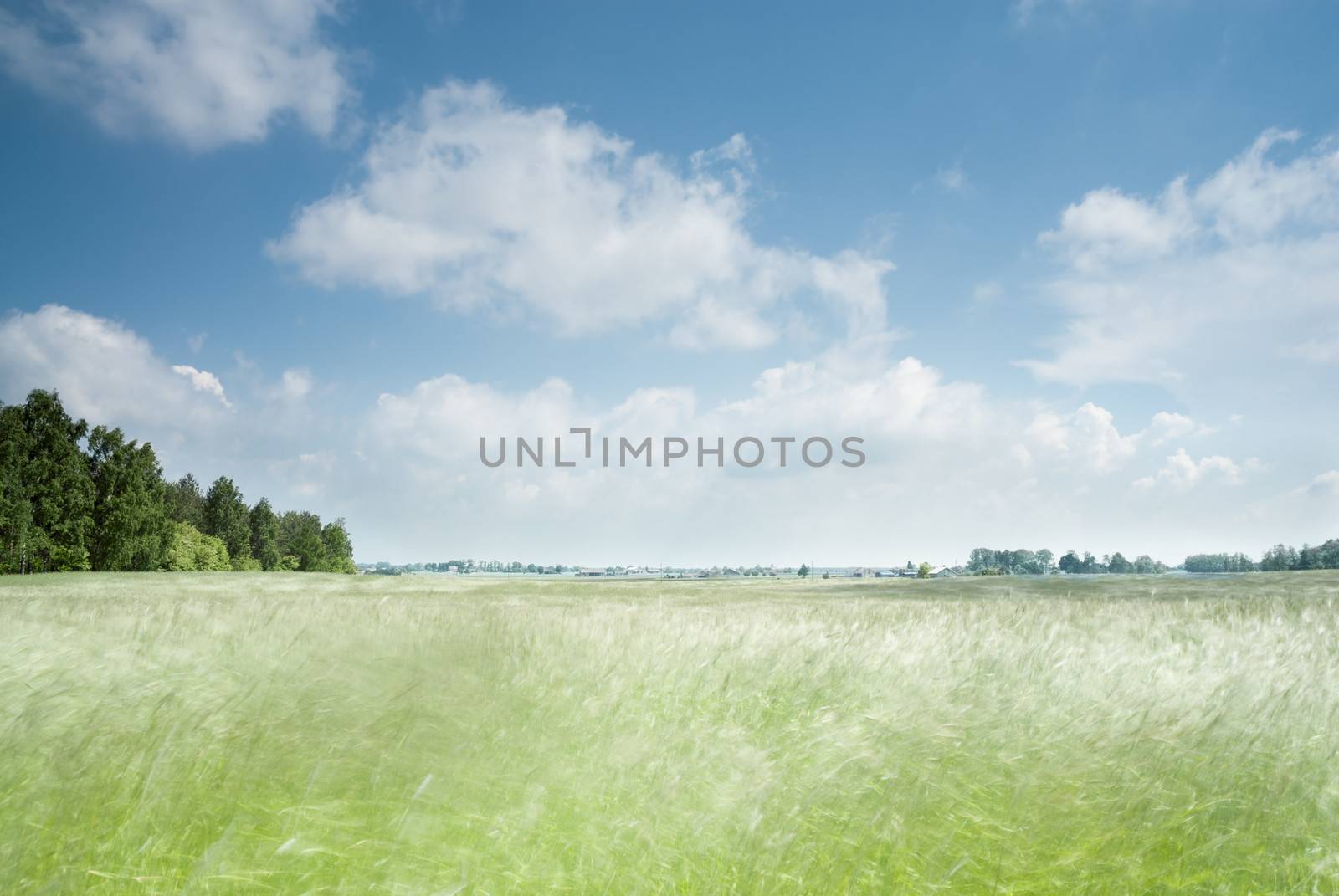 Motion blur in field. Rural landscape, Poland.