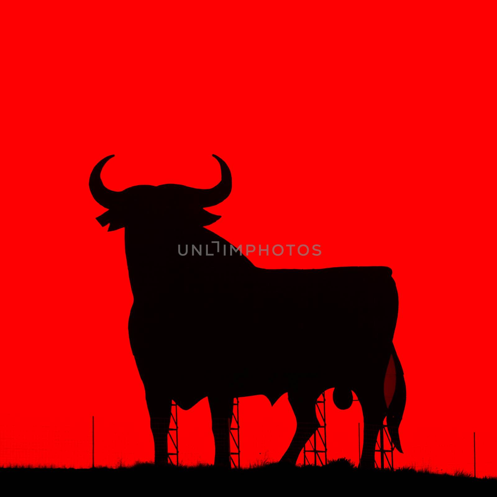 Spain,silhouette of a bull in the field in Andalucia.