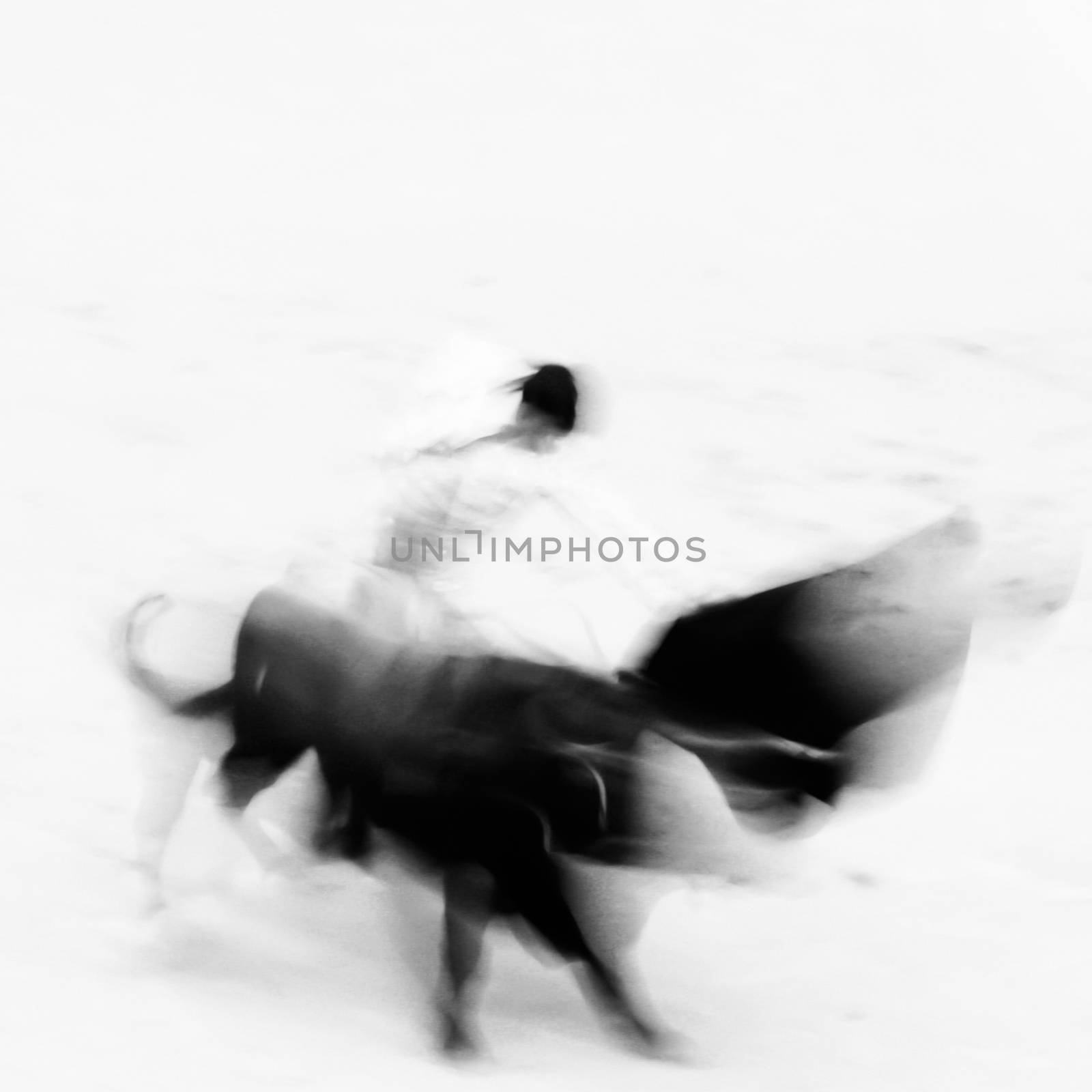 Bullfigting in bullring Las Ventas, Madrid, Spain. Abstract black and white image.
