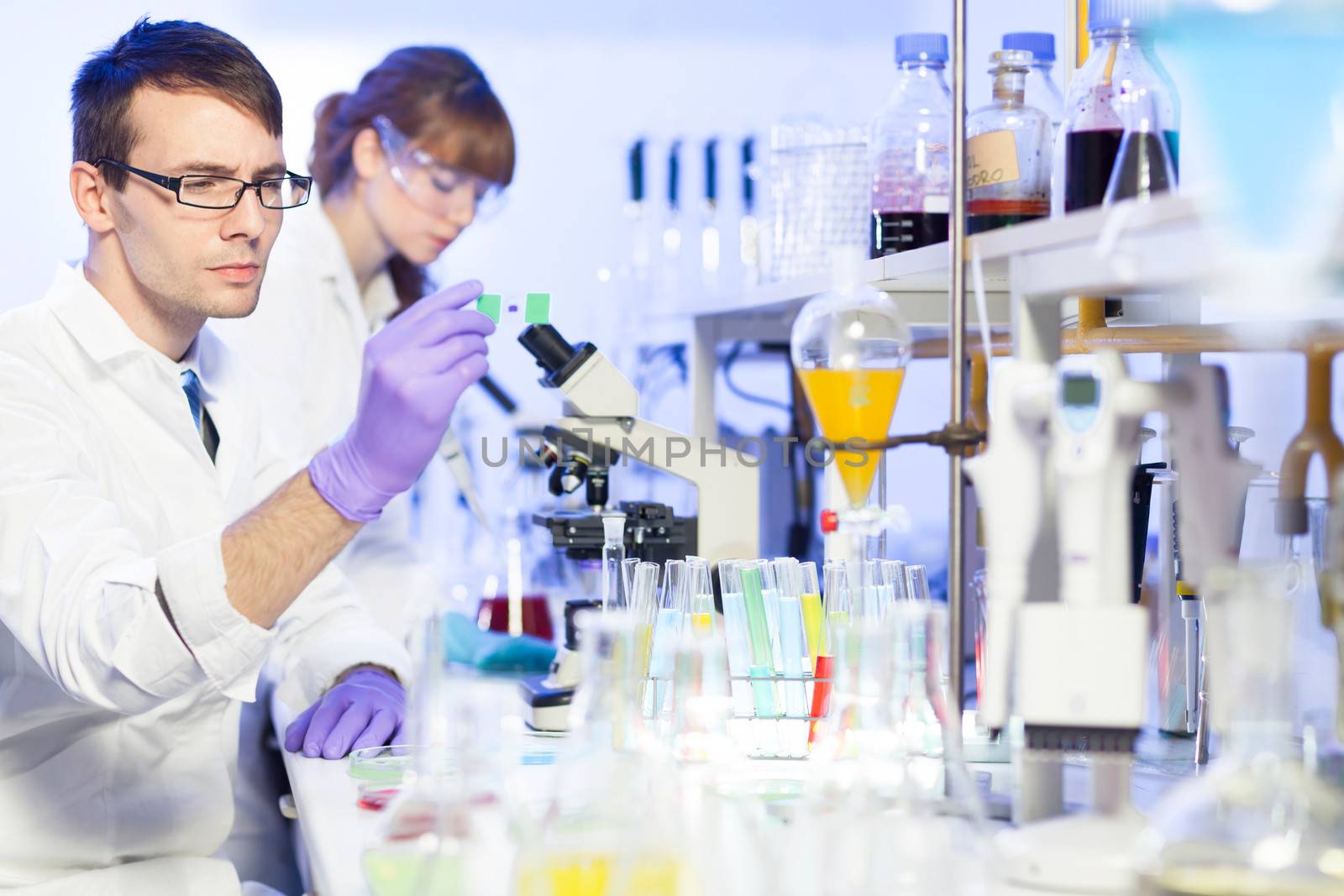 Young male researcher looking at the microscope slide in the life science (forensics, microbiology, biochemistry, genetics, oncology...)laboratory. Female asistant scientist working in the background.