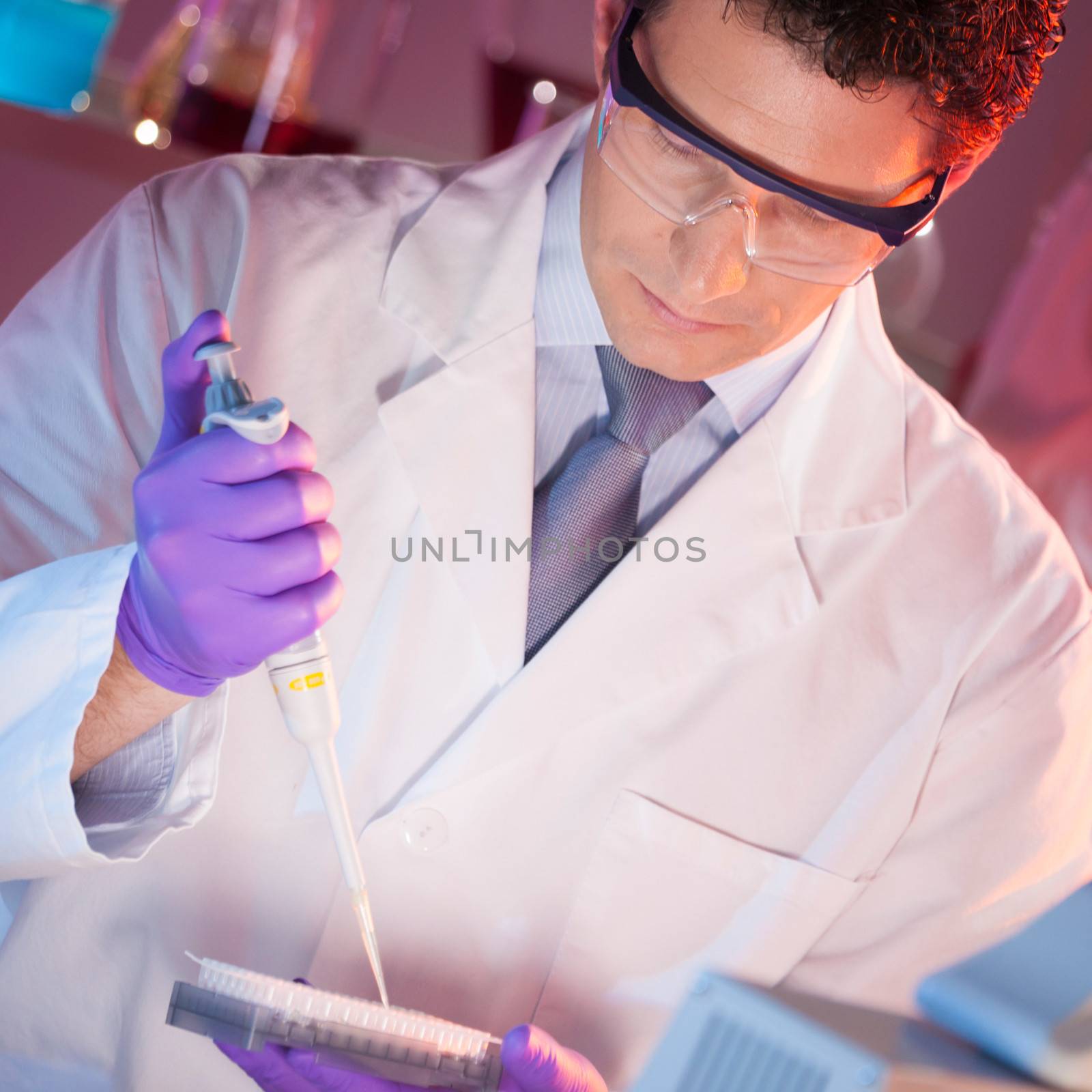 Focused life science professionals pipetting master mix solution into the PCR 96 well micro plate in the genetic lab.
