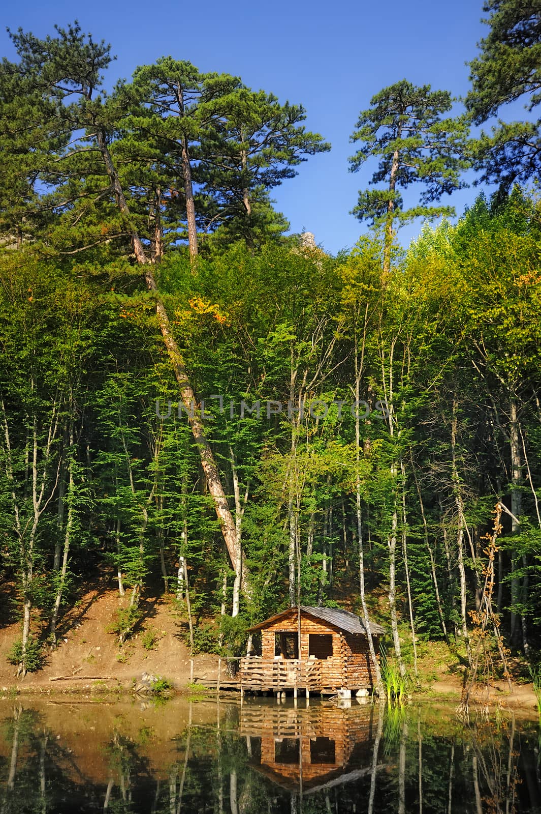 House on the shore of lake