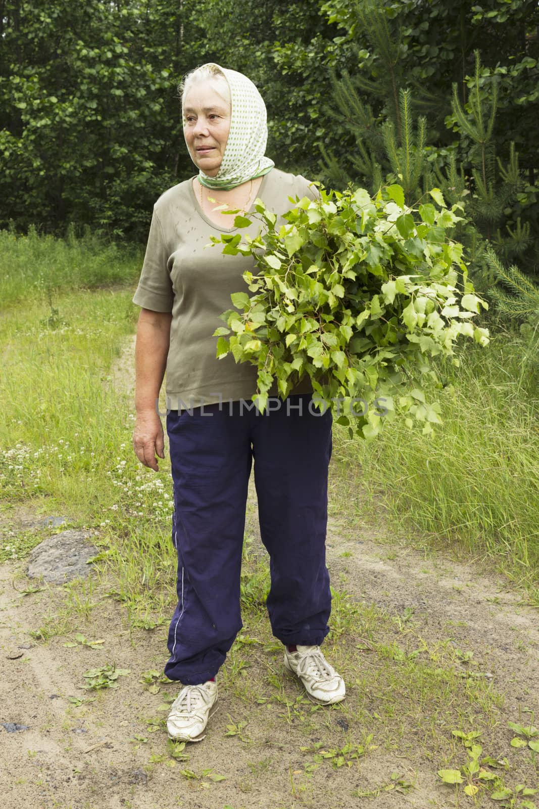 Mature beautiful woman prepares birch twigs in June