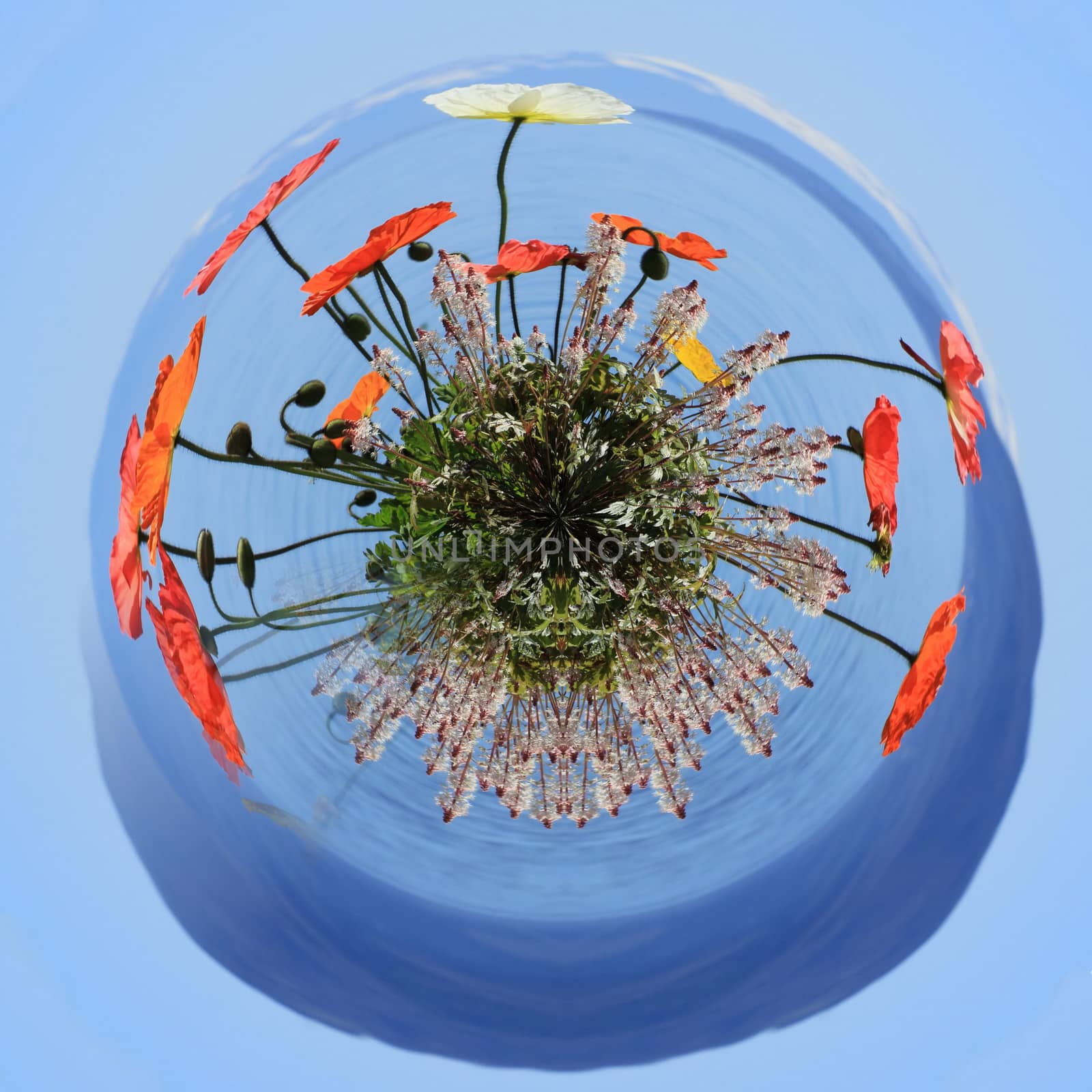 Little planet of colorful springtime flowers at Geneva lake, Montreux, Switzerland. See Alps mountains in the background