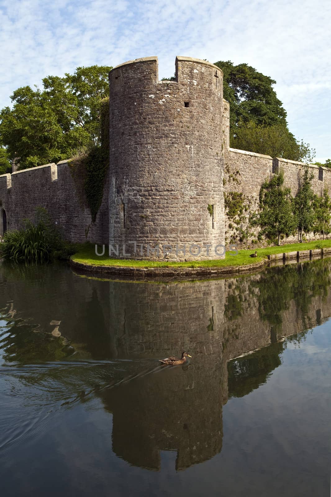 Bishop's Palace and Moat in Wells, Somerset.