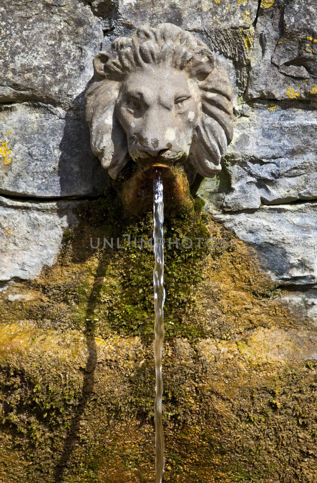 The Lion's Head Drinking Fountain at the Chalice Well in Glastonbury.