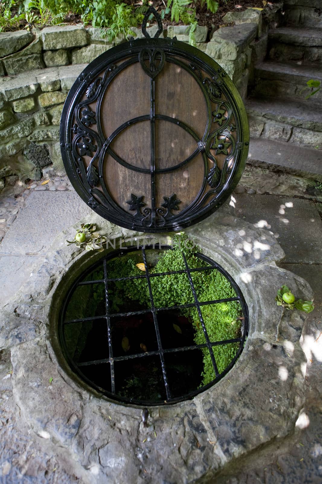 The Chalice Well in Glastonbury by chrisdorney