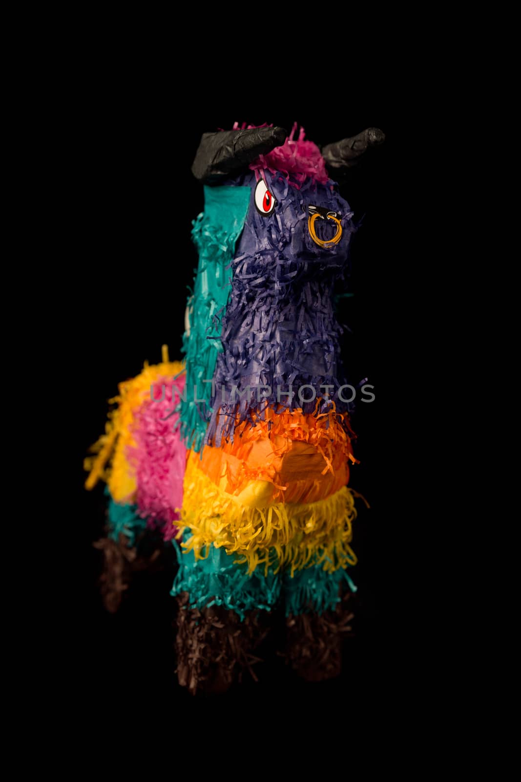 Colorful Mexican pinata decorated as bull isolated on black background