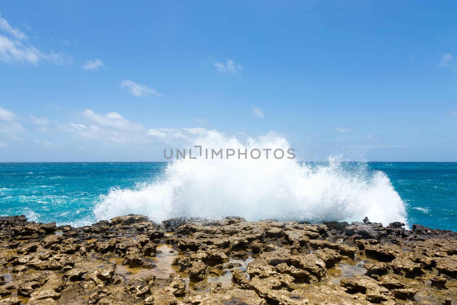 Waves Crashing Over Limestone Ocean Coastline Devil's Bridge Antigua