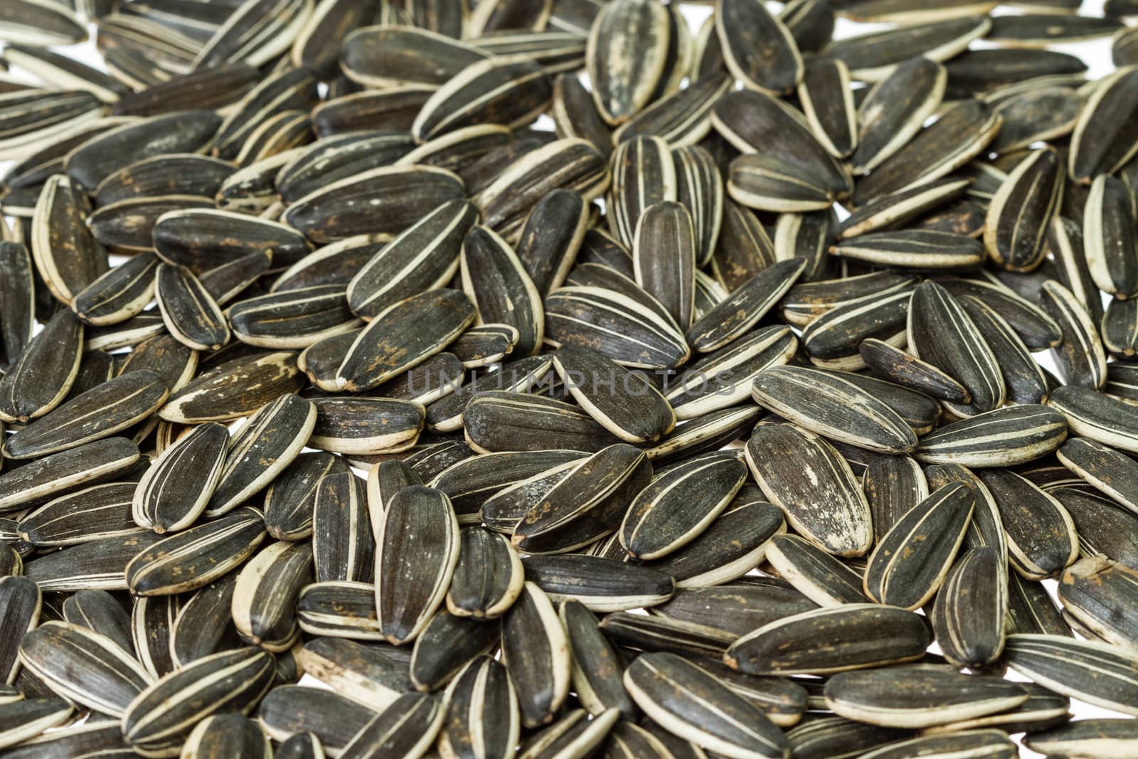 sunflower seeds, for backgrounds or textures