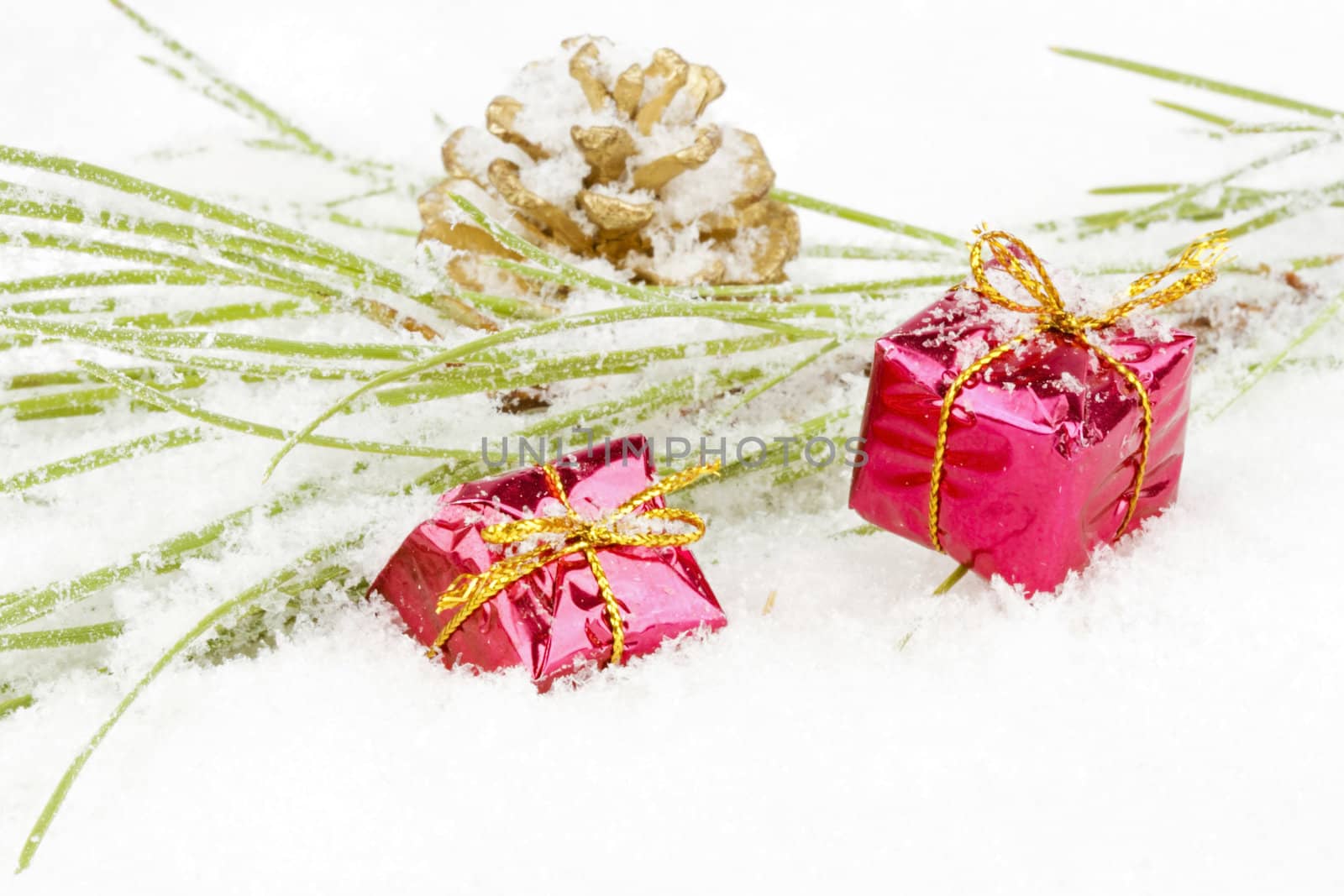 Christmas decoration with fir in the snow