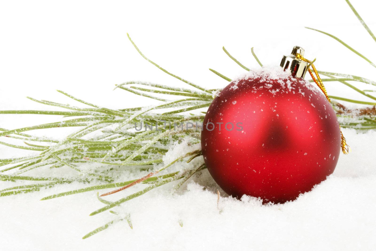 Red christmas ball with fir in the snow