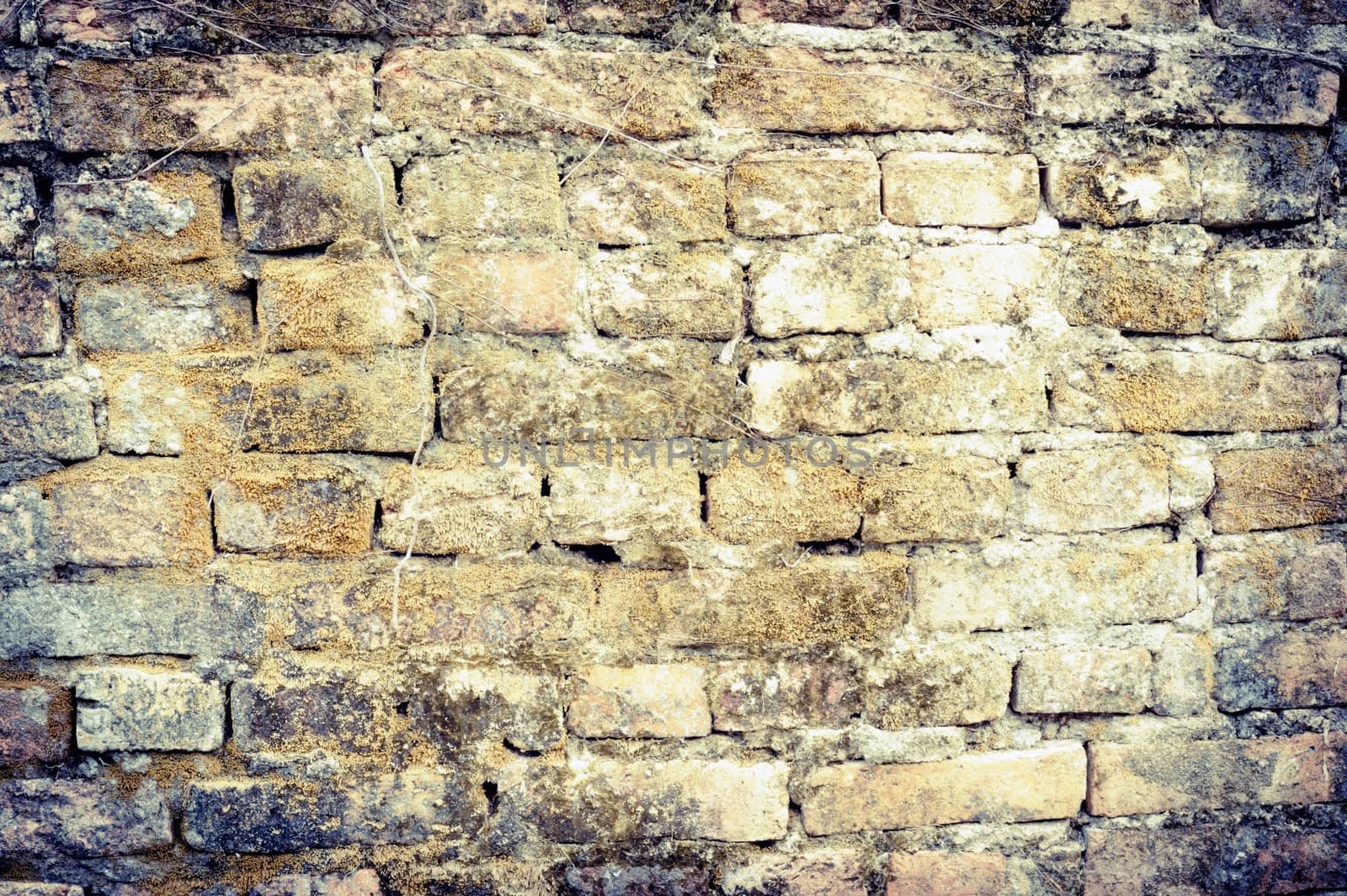 The detailed view of an old brick wall in old city.