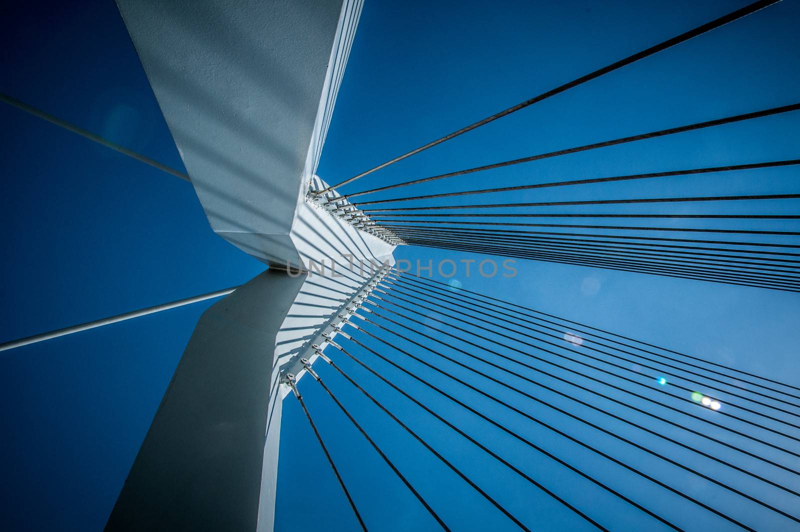 Shroud bridge in Rotterdam with blue sky