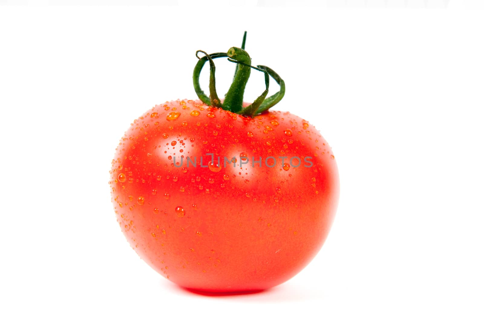 Fresh Red Tomato with water drops isolated on white background 