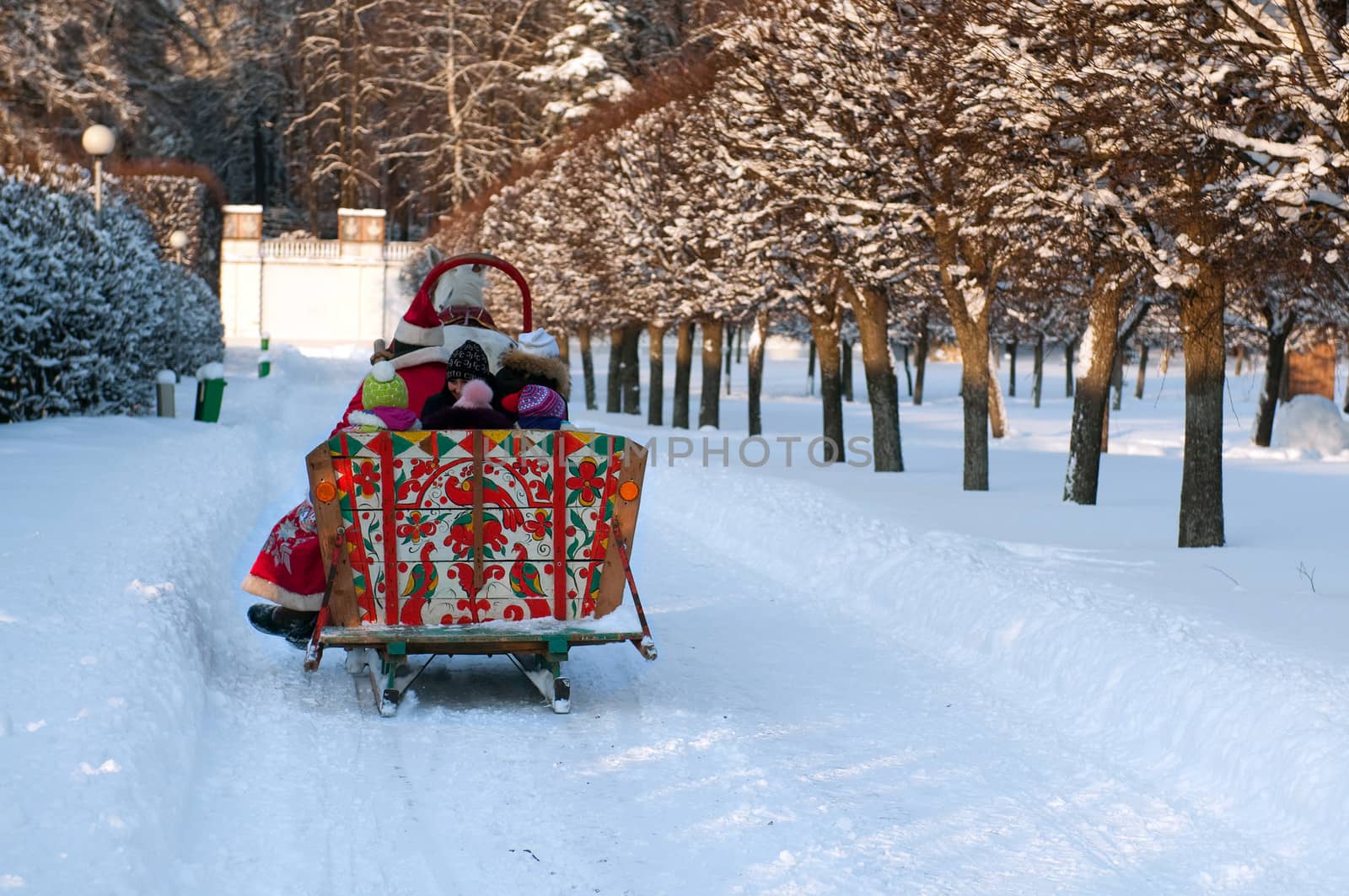 Winter holiday-walk in carriage with white horse