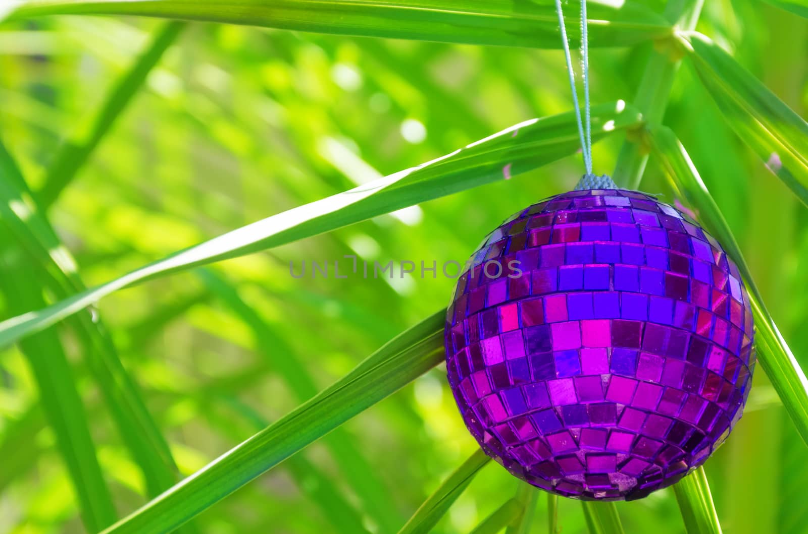 Christmas ball on palm tree by EllenSmile