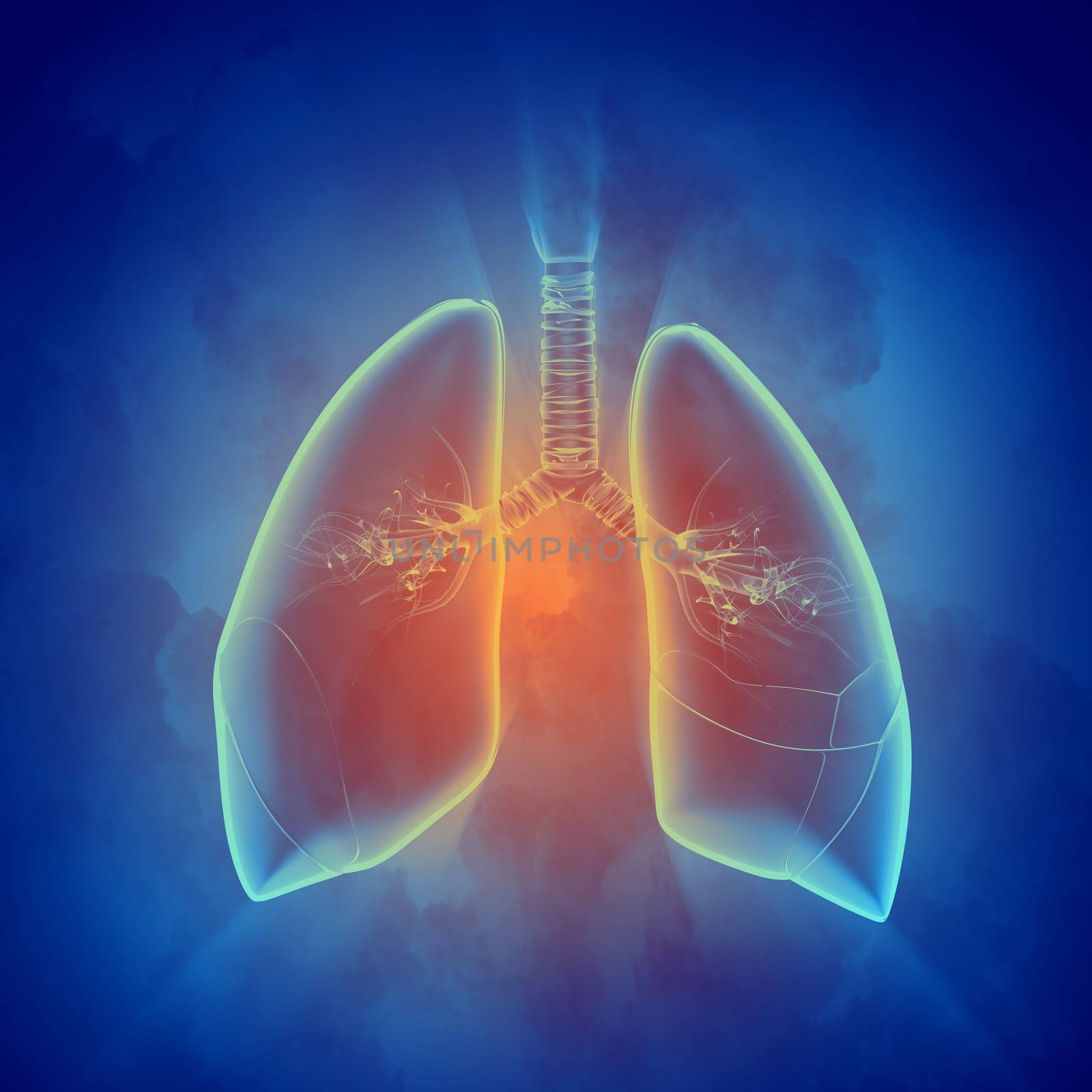 Schematic illustration of human lungs with the different elements on a colored background. Collage.