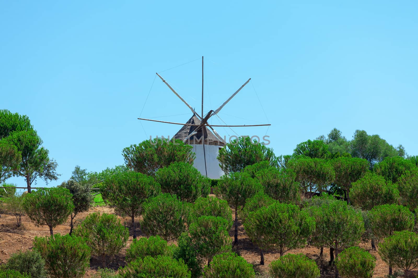 Windmill above a plantation of trees on a farm with its sails or vanes visible against the blue sky