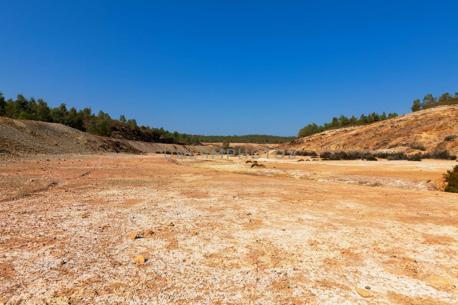 Empty river-bed in a dry dusty landscape with distant trees on the horizon