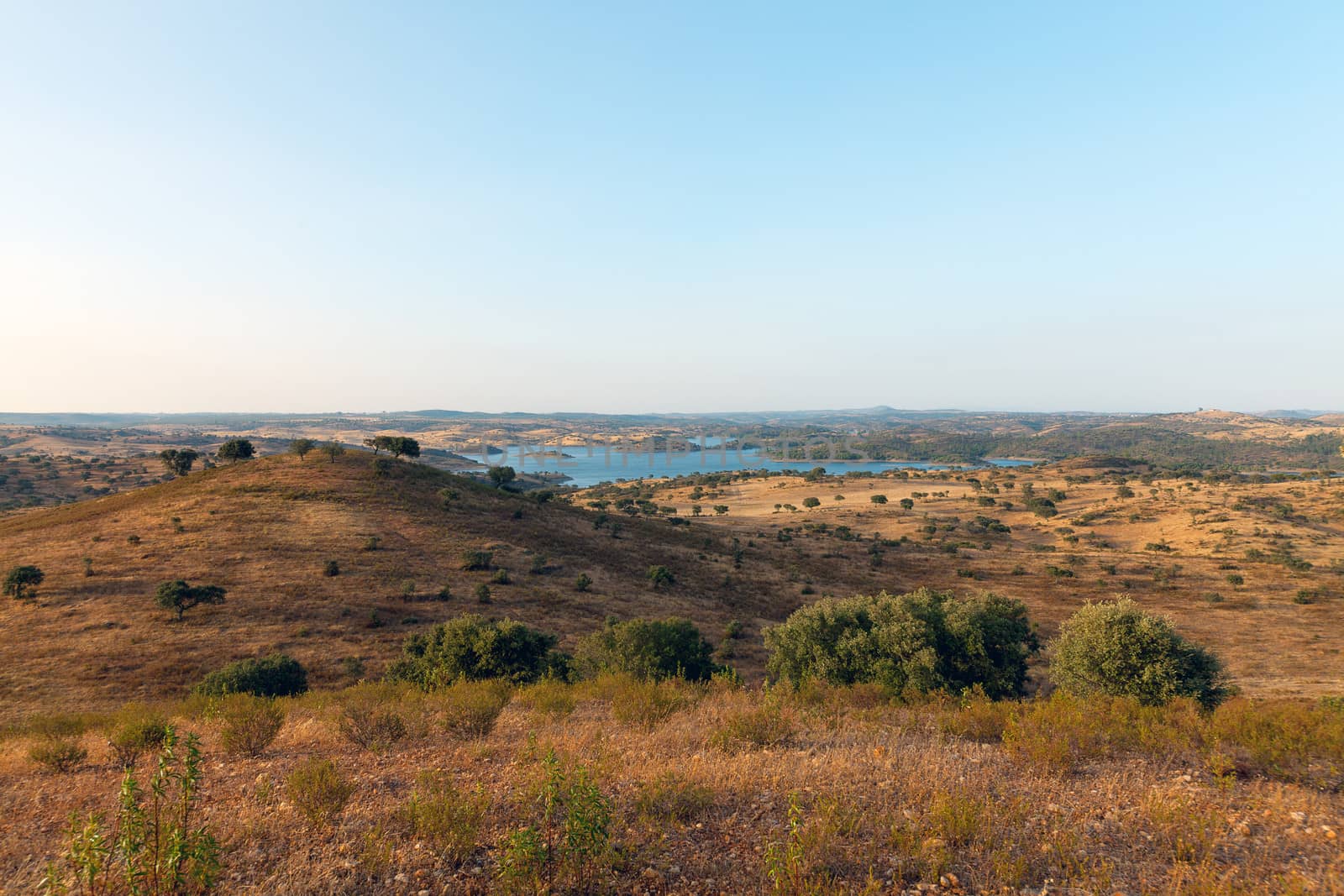 Rural landscape with grassland and a distant dam or lake amongst gently rolling hills