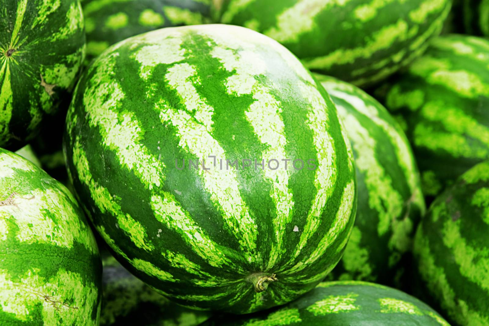 bright green watermelons as summer background