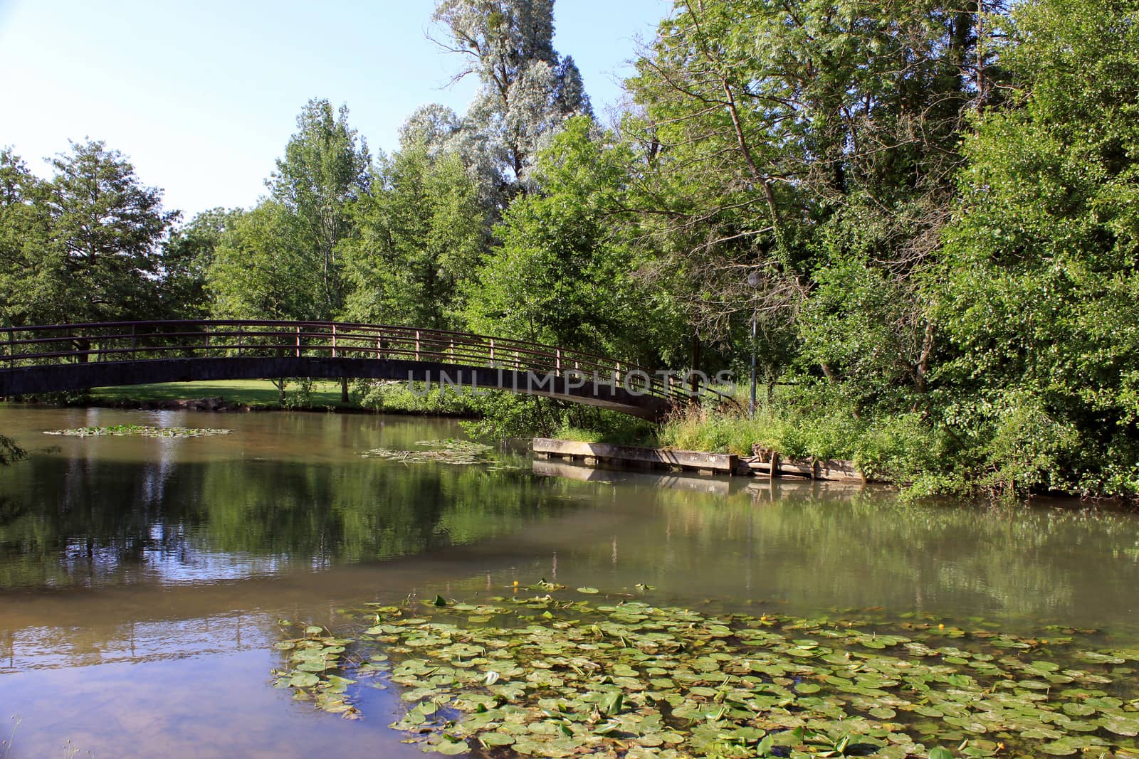 a river with its water lilies bridge surrounded by a wooded park