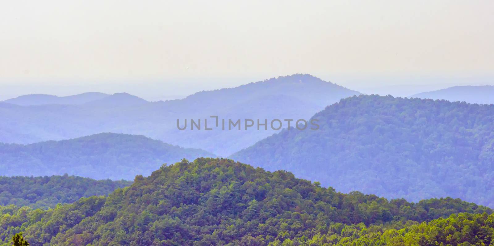 nature around upstate south carolina at lake jocassee gorge mountains