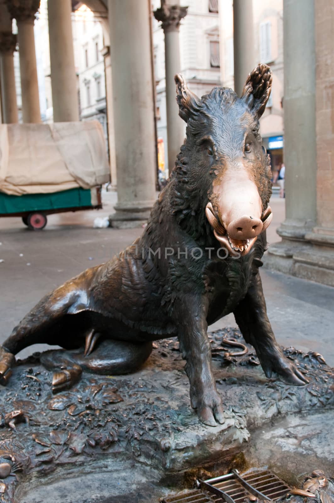Il Porcellino (Italian "piglet") is the local Florentine nickname for the bronze fountain of a boar in Florence, Tuscany, Italy. by lexan