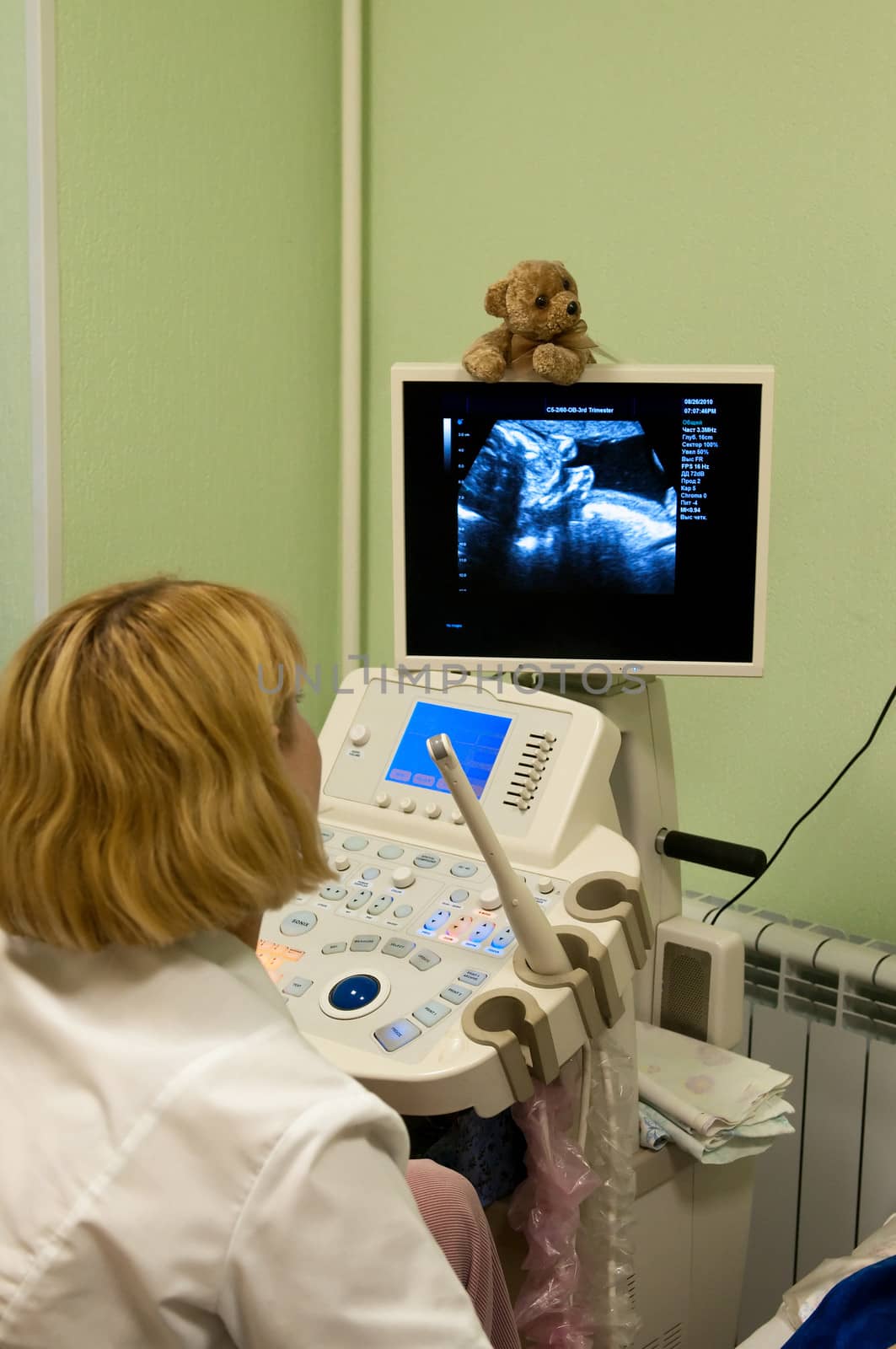 Obstetrician examining pregnant belly by ultrasonic scan. by lexan