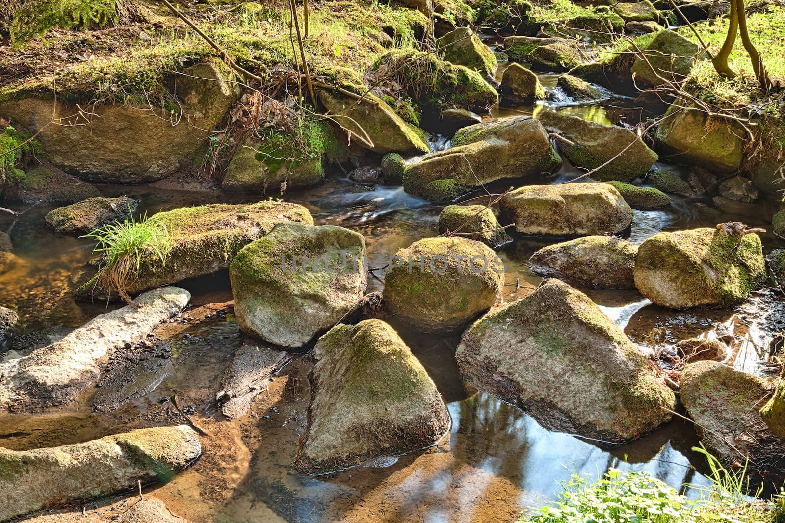 The river runs between boulders in the primeval forest - HDR