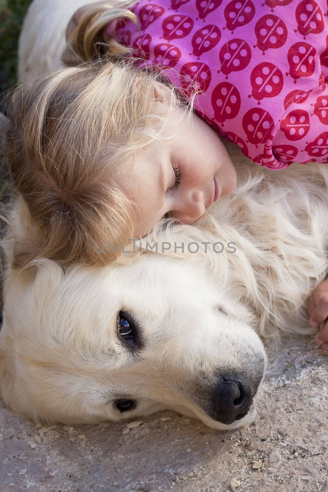A young child sleeping with her golden retriever guarding her, Candid shot of real people
