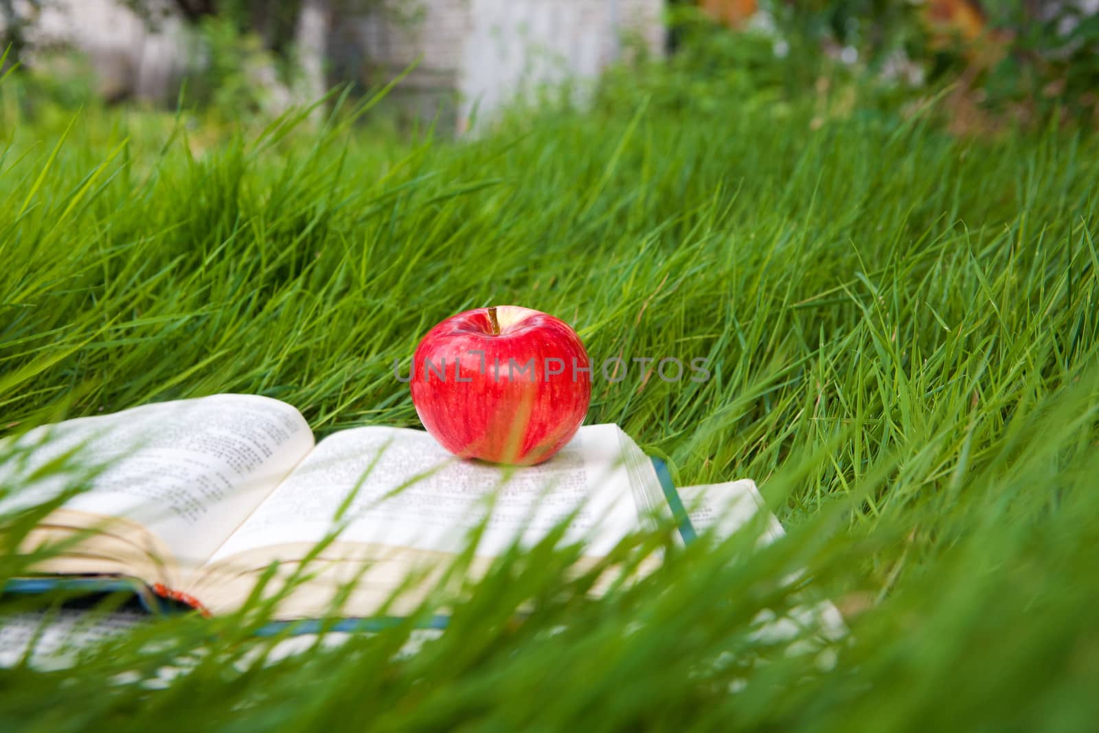 book with apple on the grass