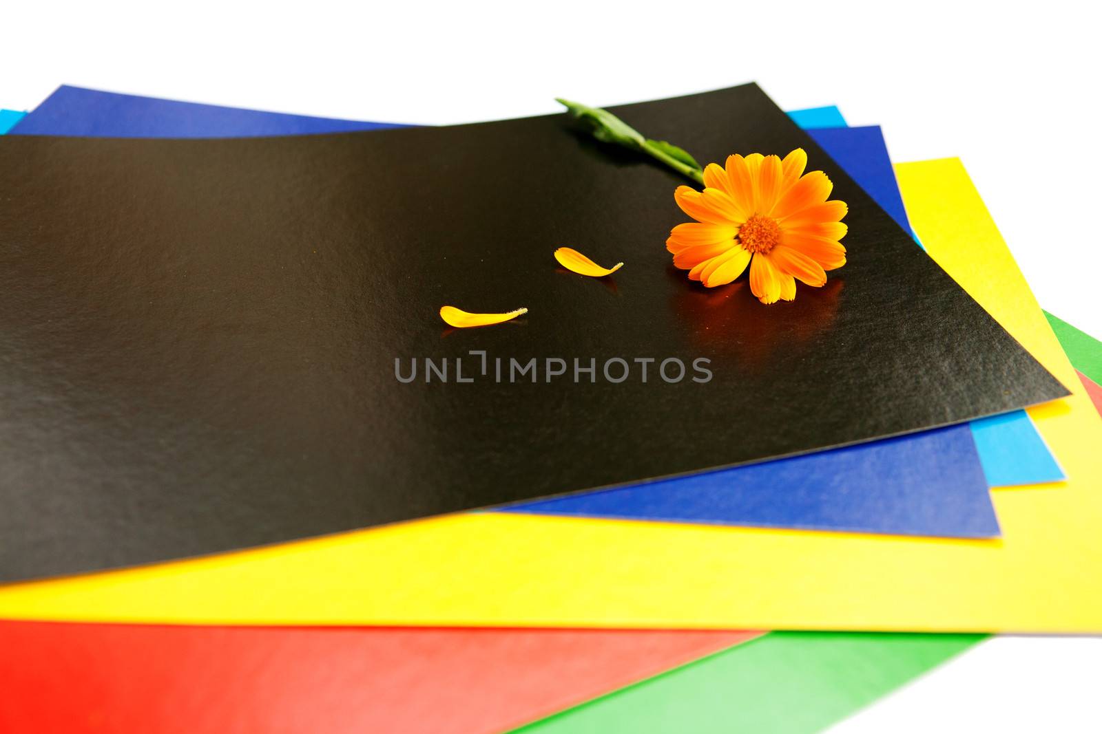 background of flower on the pieces of paper