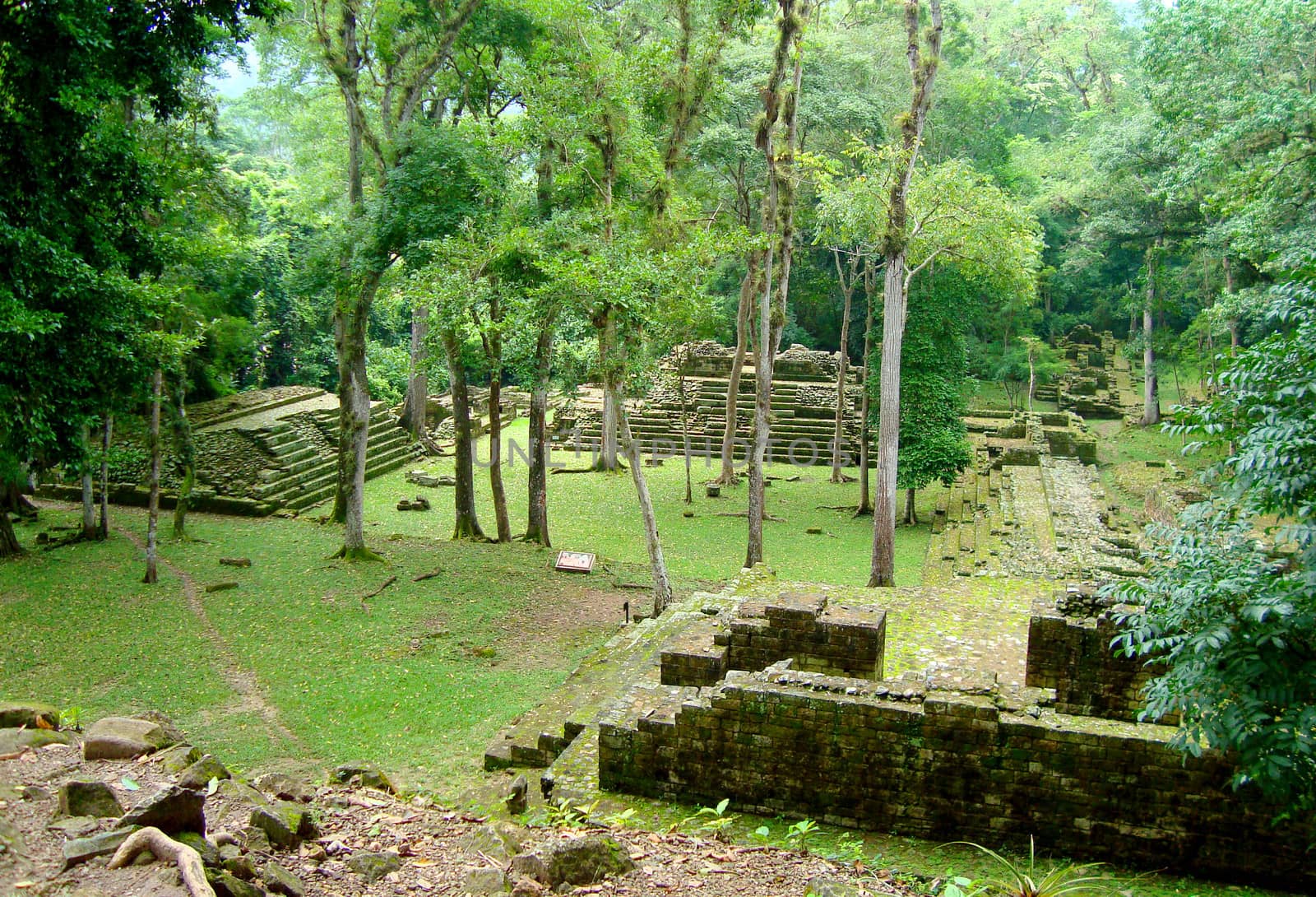 ancient mayan temple ruins - copan ruinas or copan ruins in Honduras