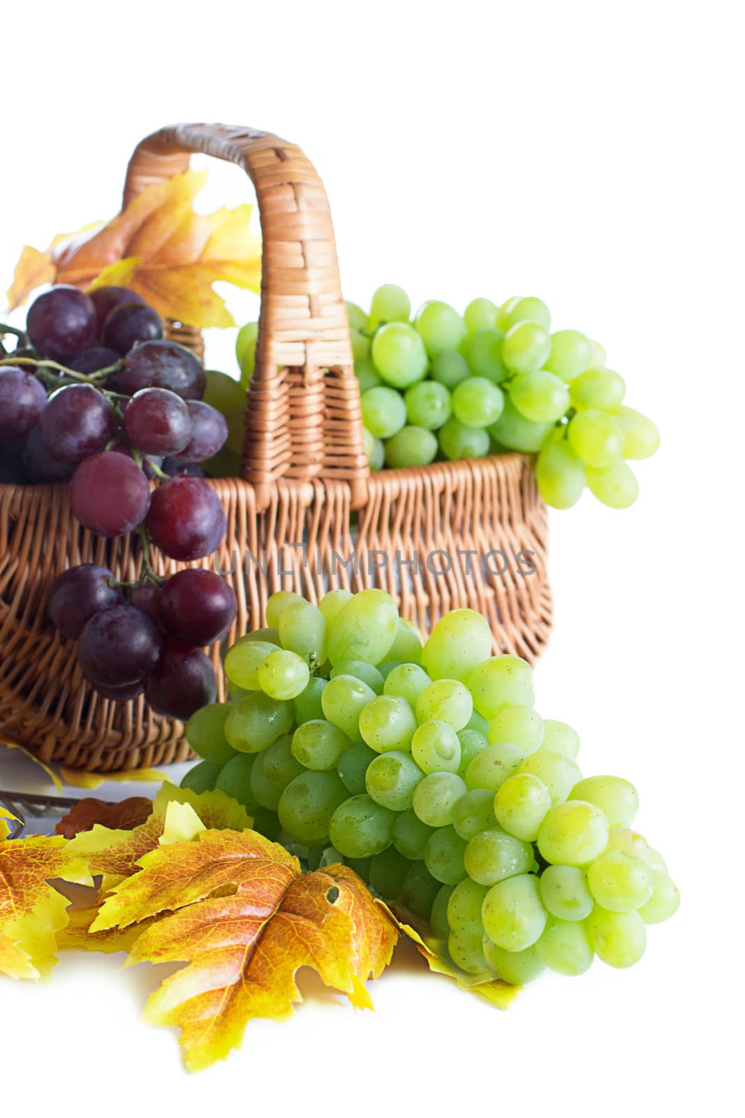 Green and dark grape in the basket by Angel_a