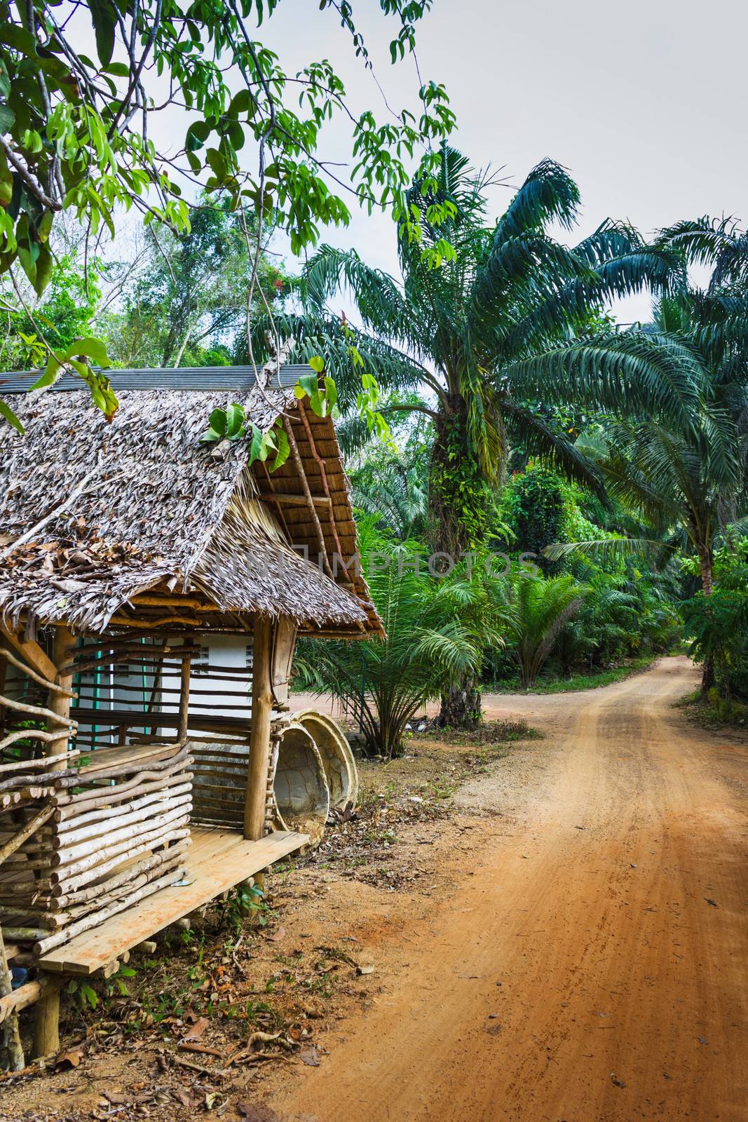 hut on the road in the jungle with palm trees on the  Phuket in Thailand